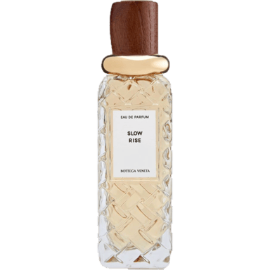 Slow Rise by Bottega Veneta