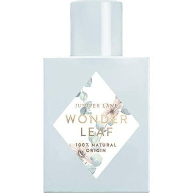Wonder Leaf by Nature Blossom