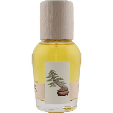 The Idea of You by Cirrus Parfum