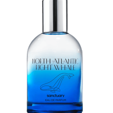 North Atlantic Right Whale by Sanctuary Frangrances bottle