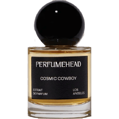 Cosmic Cowboy by Perfumehead
