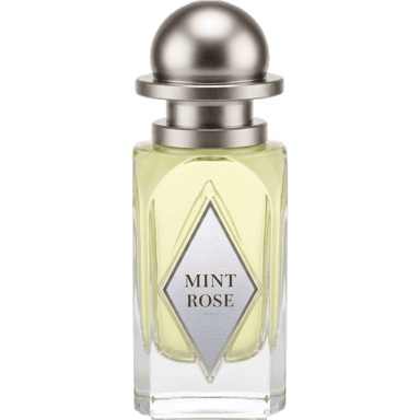 Mint Rose by OrDioLab