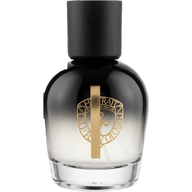 Greyhaven at Night by Misc. Goods Co.