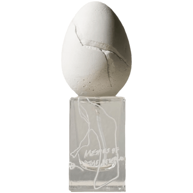 Meshes of the Afternoon by Perfume Who bottle