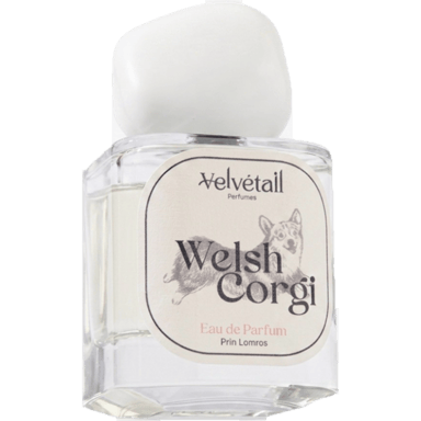Welsh Corgi by Velvétail Perfumes bottle