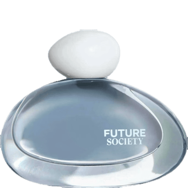 Wandering Rain by Future Society
