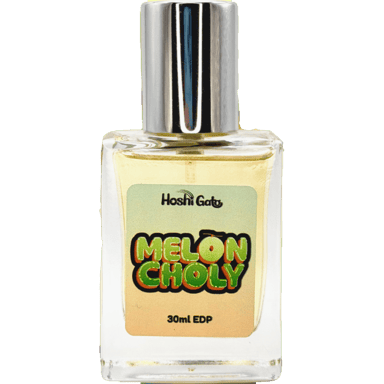 Meloncholy by Hoshi Gato