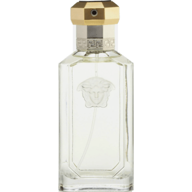 The Dreamer by Versace bottle