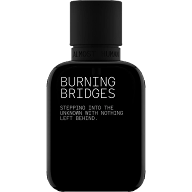 Burning Bridges by Almost Human