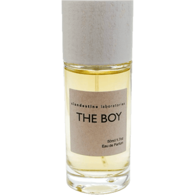 The Boy/Pool Boy by Clandestine Laboratories