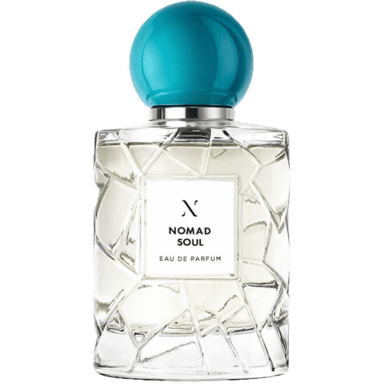 Nomad Soul by Les Soeurs de Noé