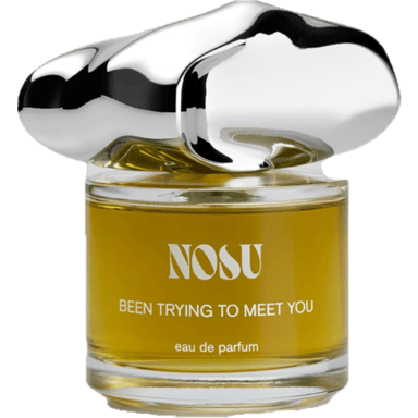 Been Trying To Meet You by Nosu