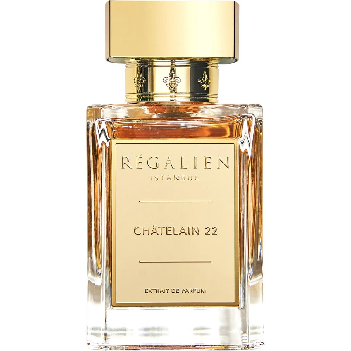 Châtelain 22 by Regalien