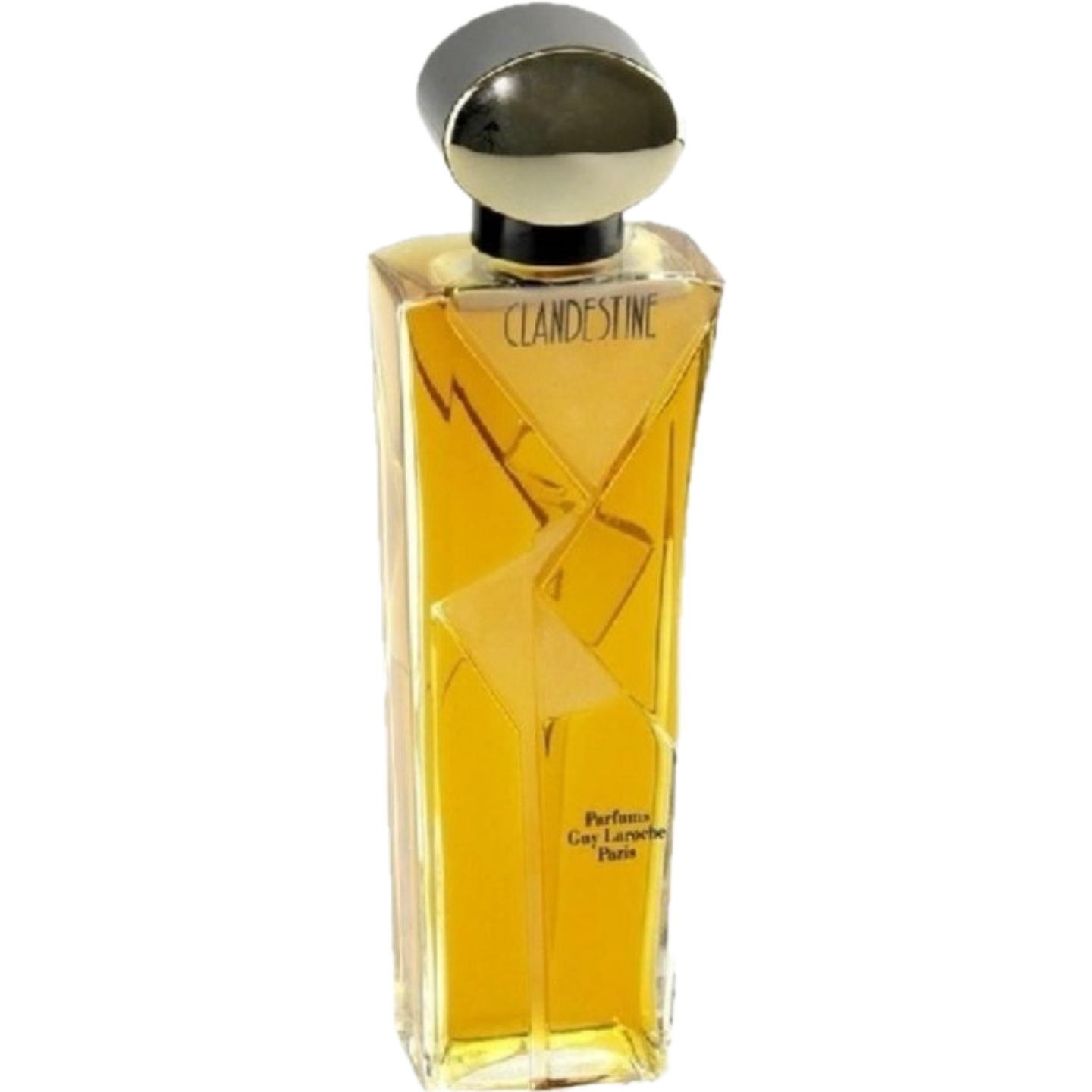 Clandestine by Guy Laroche