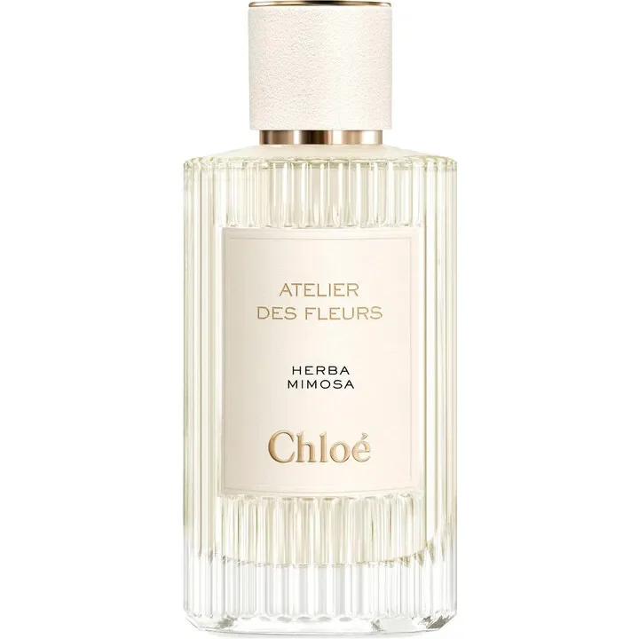 Herba Mimosa by Chloé