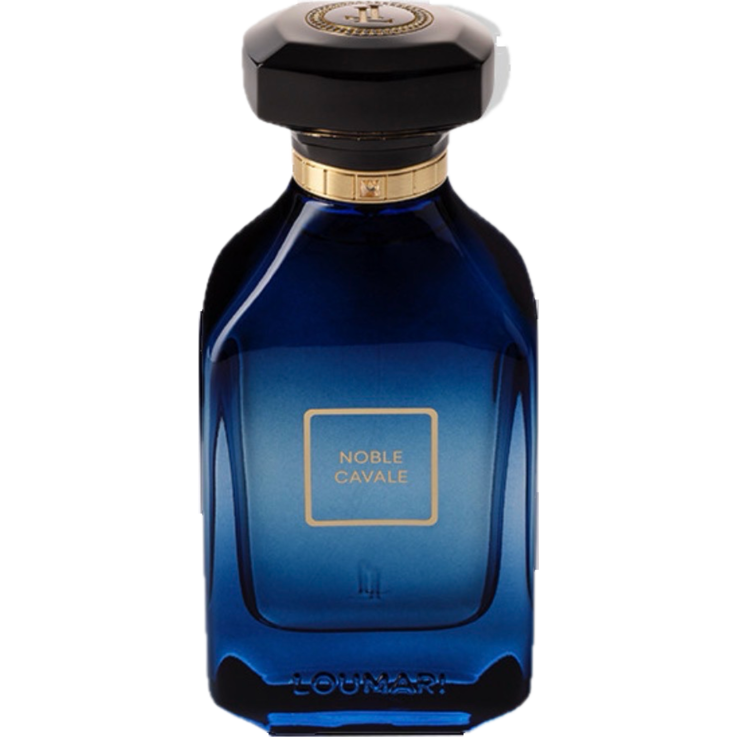 Noble Cavale by Loumari