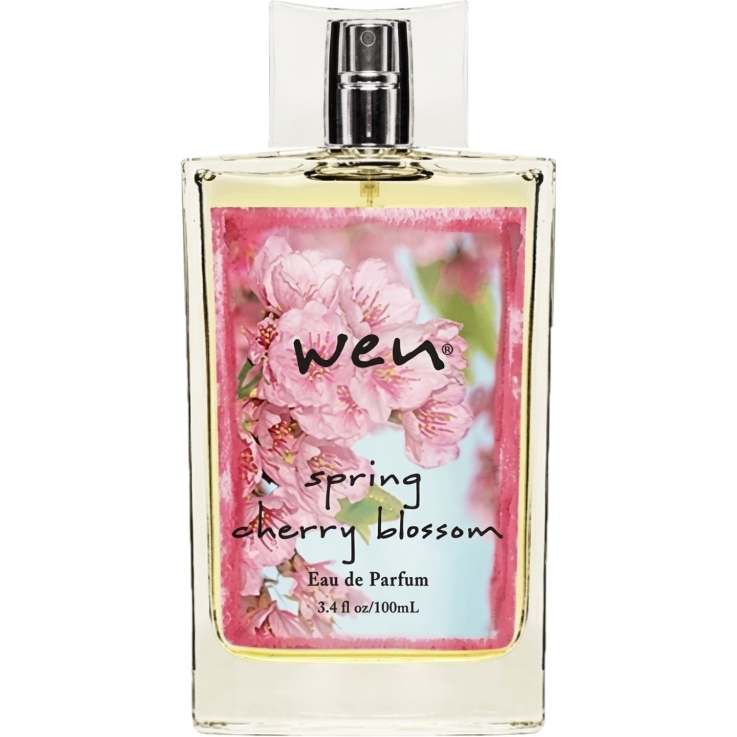 Spring Cherry Blossom by Wen