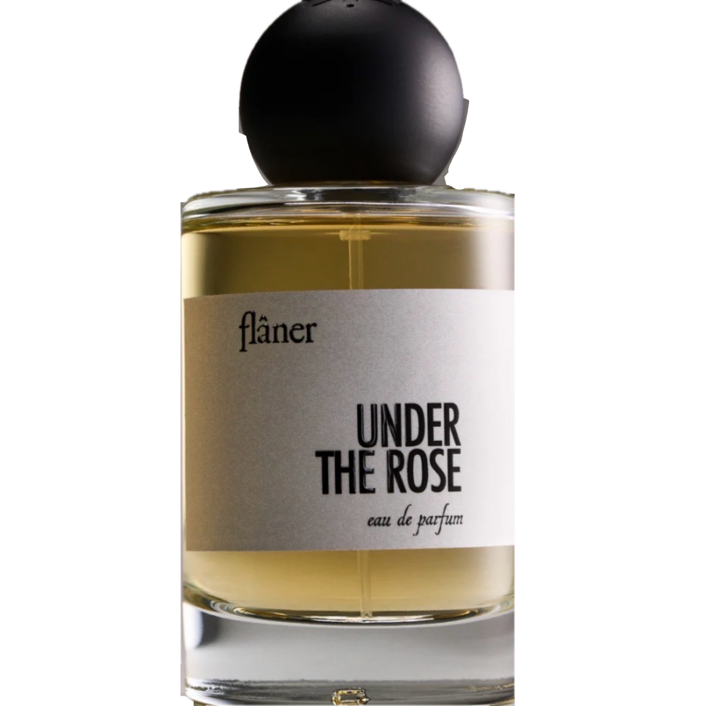 Under the Rose by Flaner