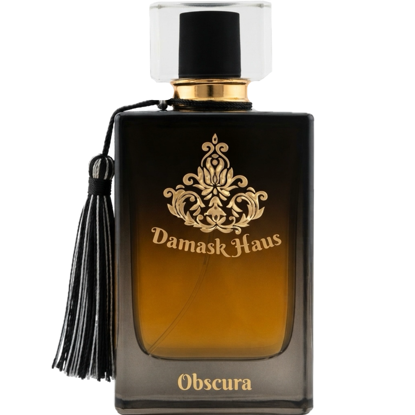 Obscura by Damask Haus