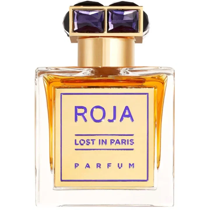 Lost in Paris by Roja London
