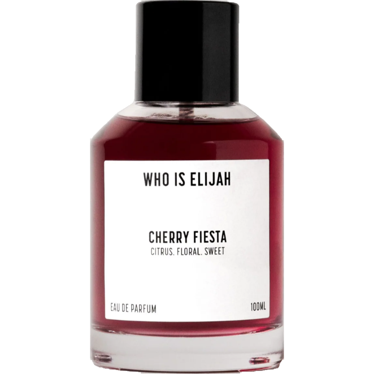 Cherry Fiesta by Who is Elijah