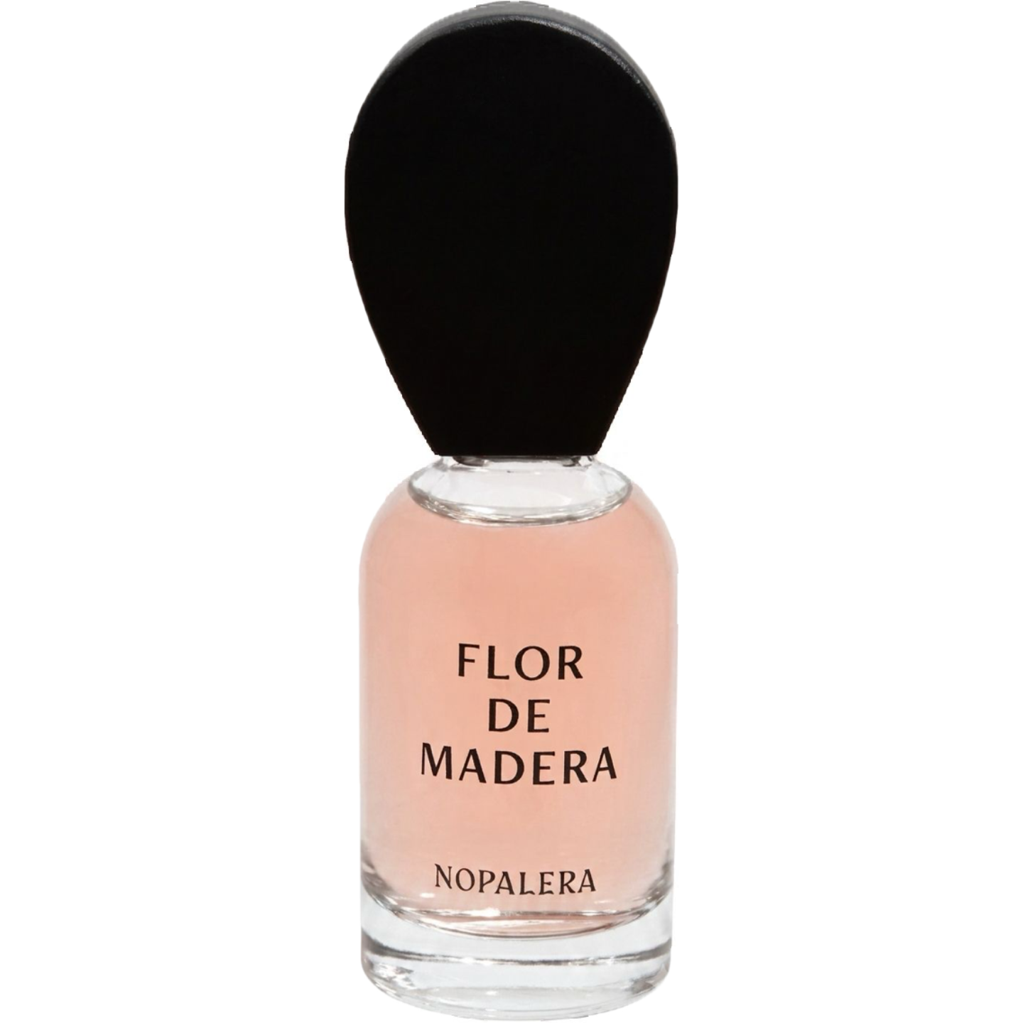 Flor de Madera by Nopalera
