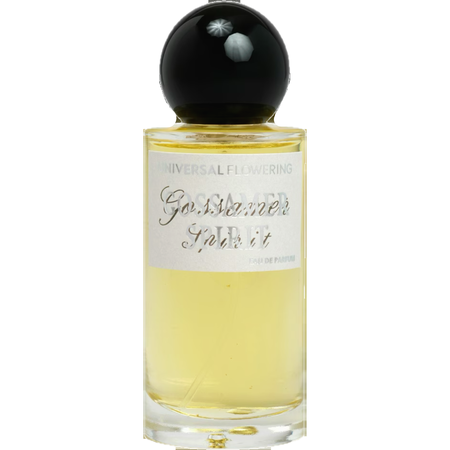 Gossamer Spirit by Universal Flowering