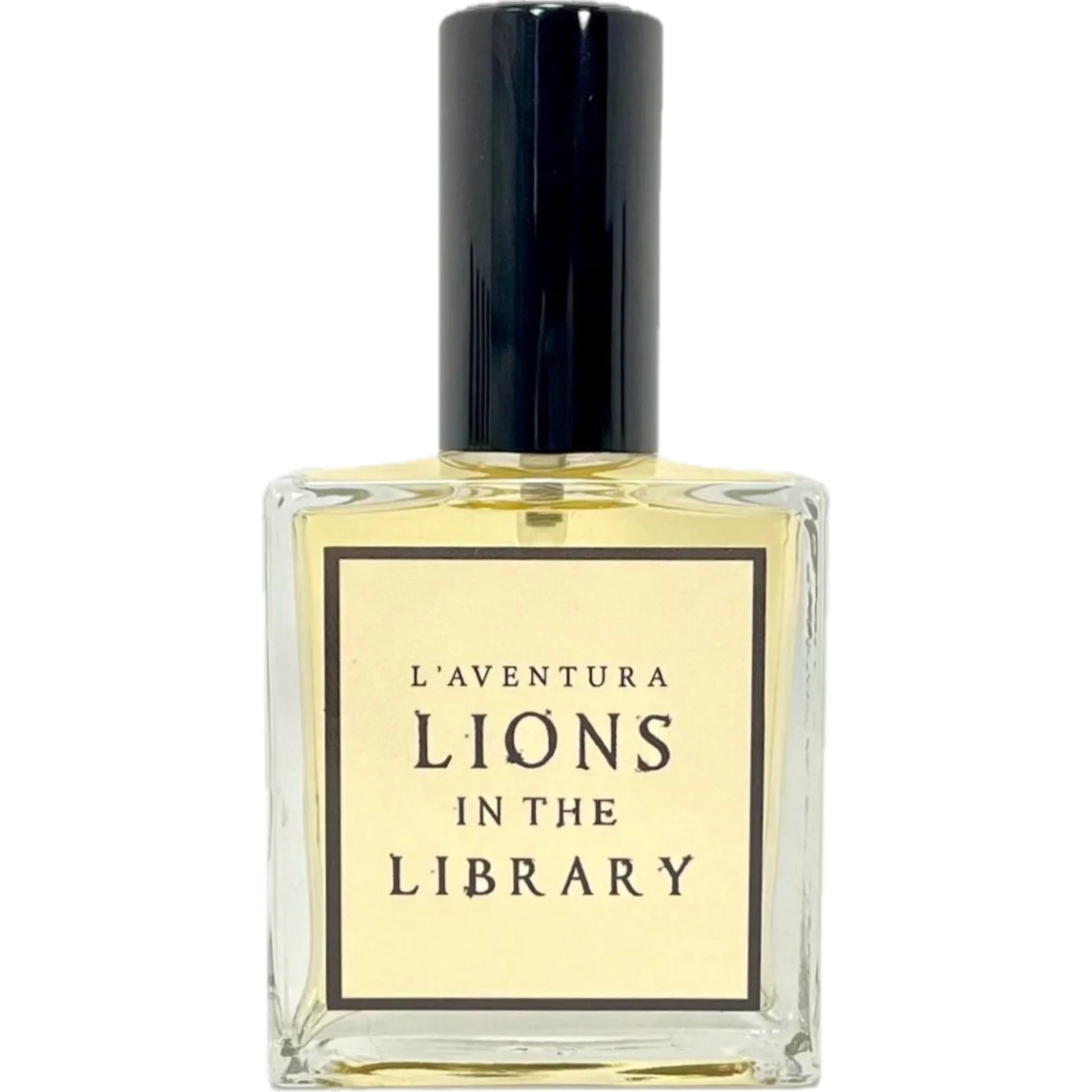 Lions in the Library by L'Aventura