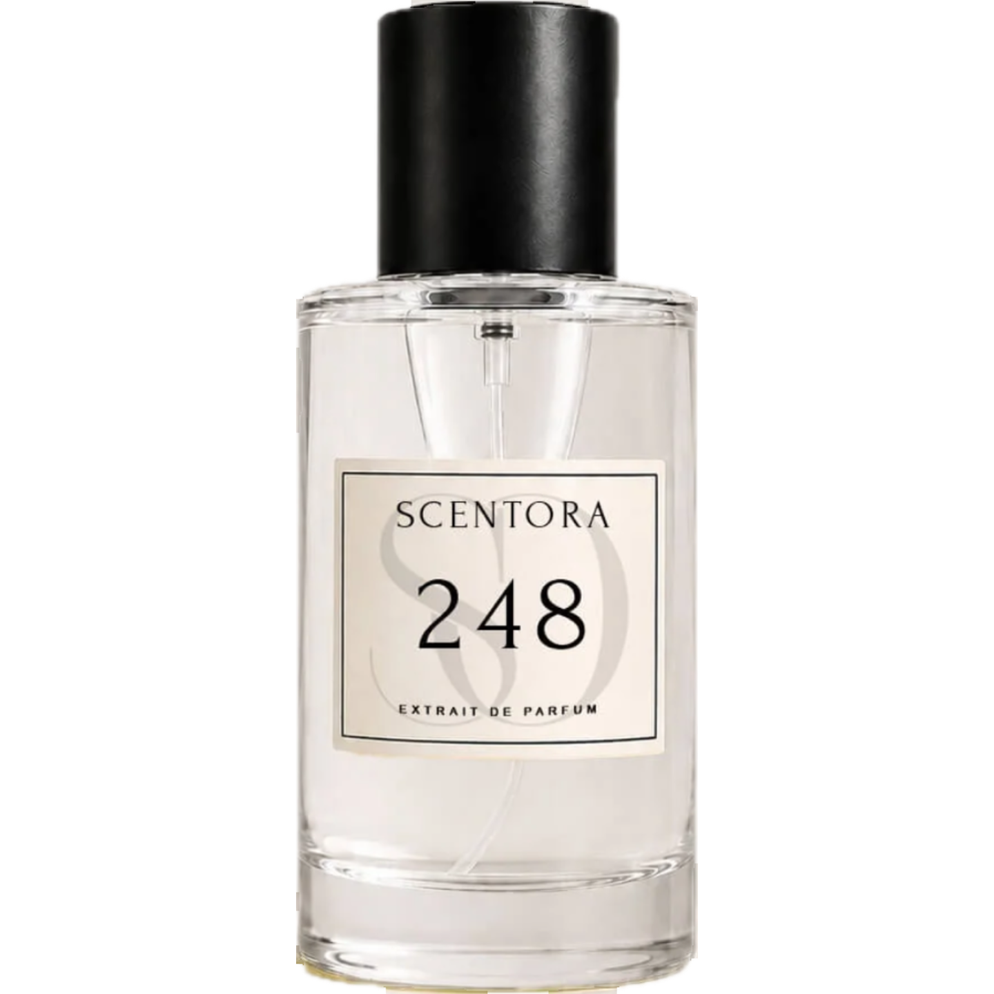 248 by Scentora