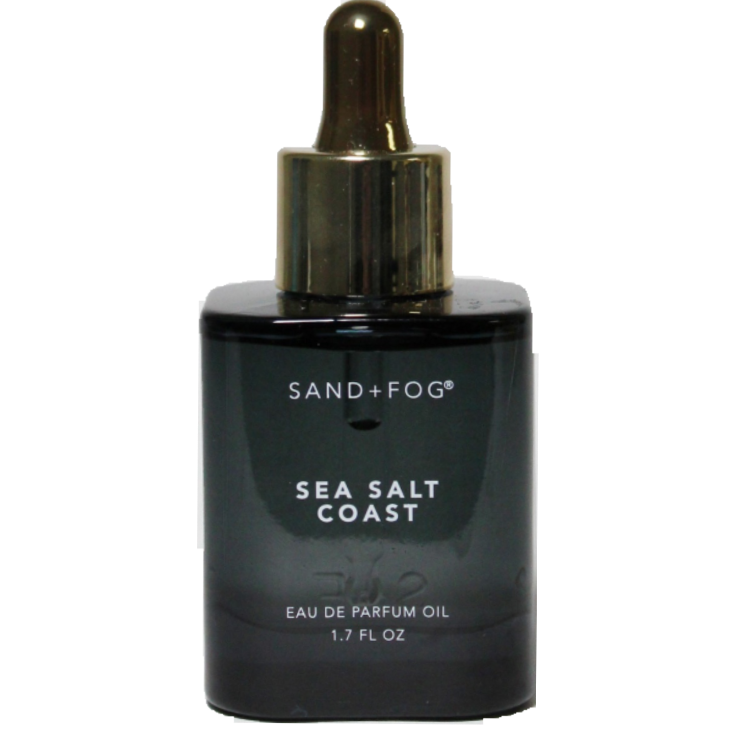 Sea Salt Coast by Sand + Fog