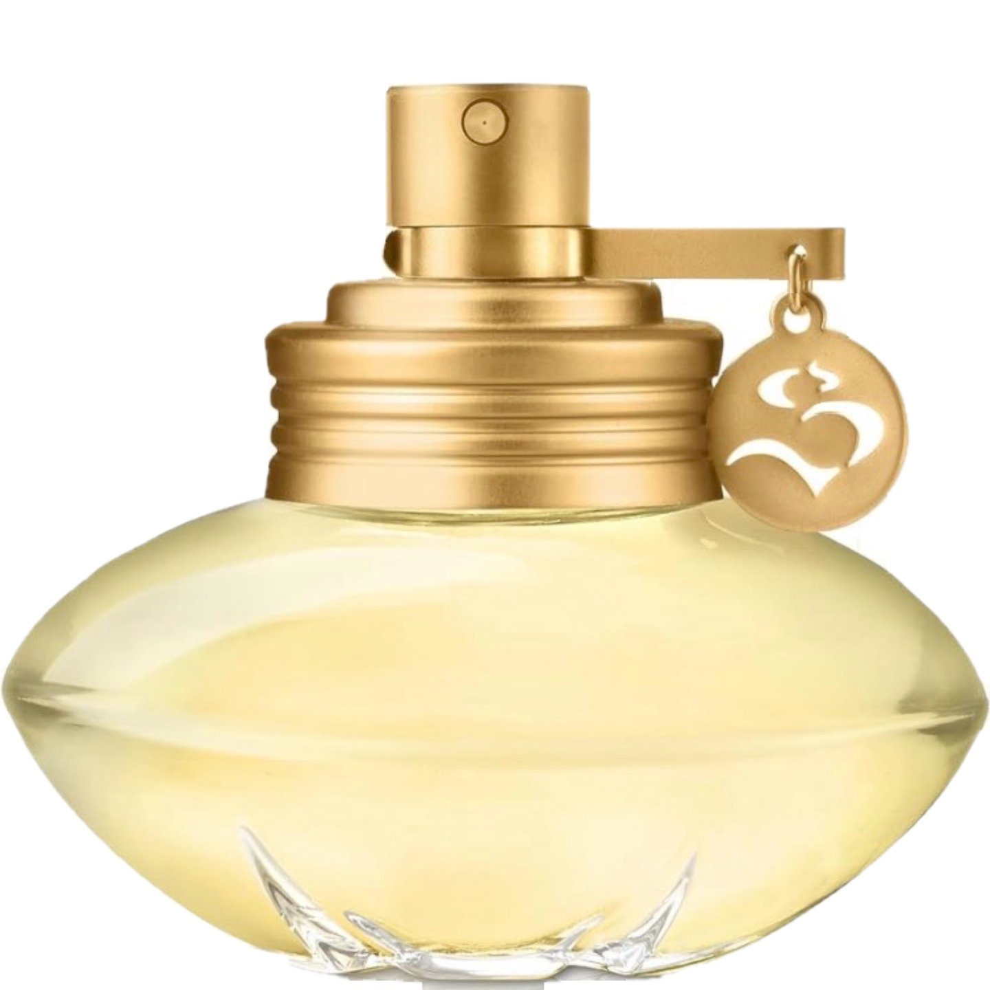 S by Shakira by Shakira Perfumes