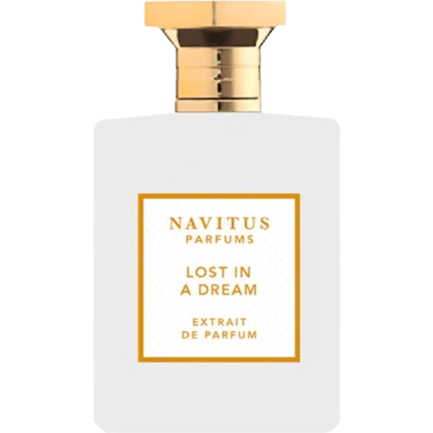 Lost in a Dream by Navitus Parfums