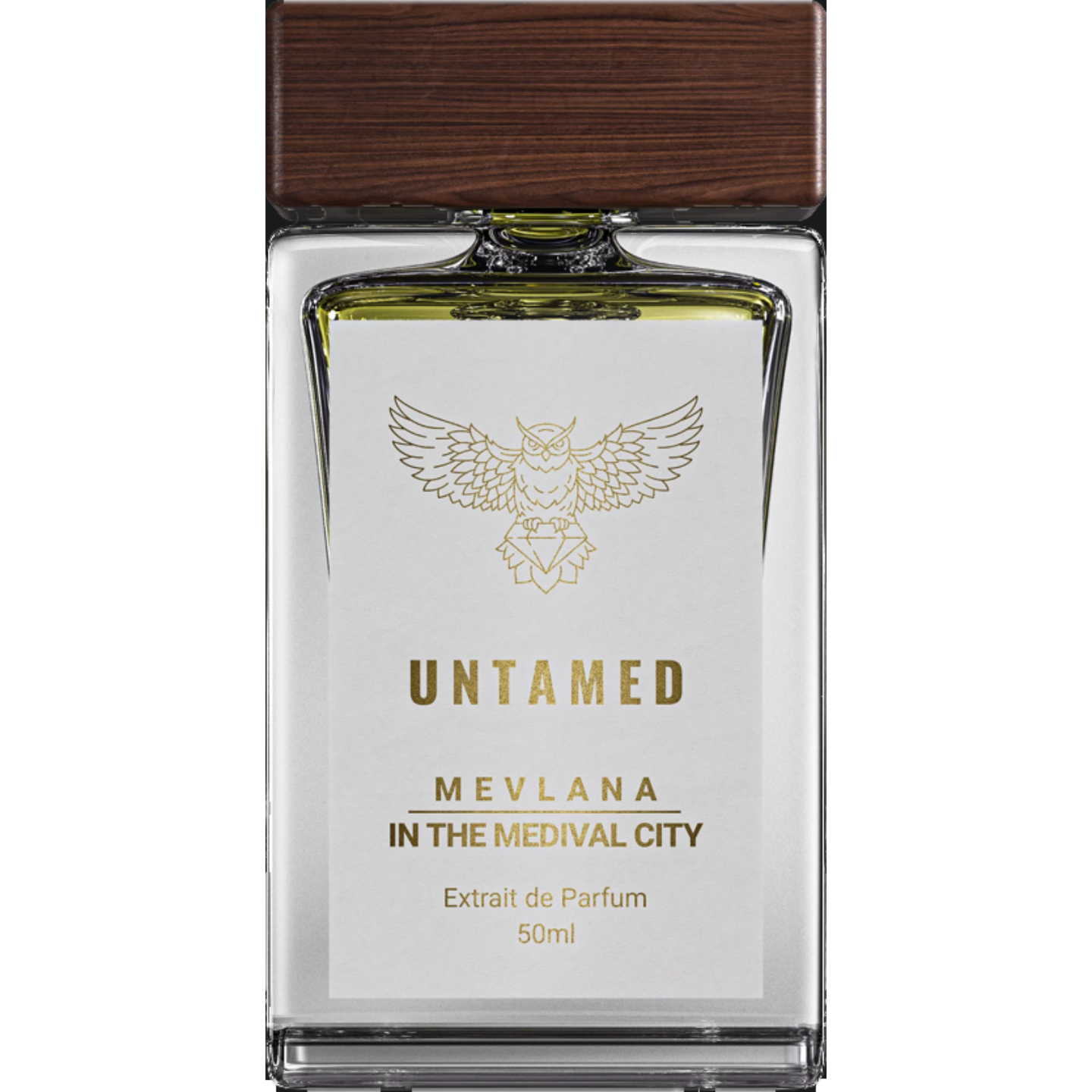 Mevlana In the Medieval City by Untamed
