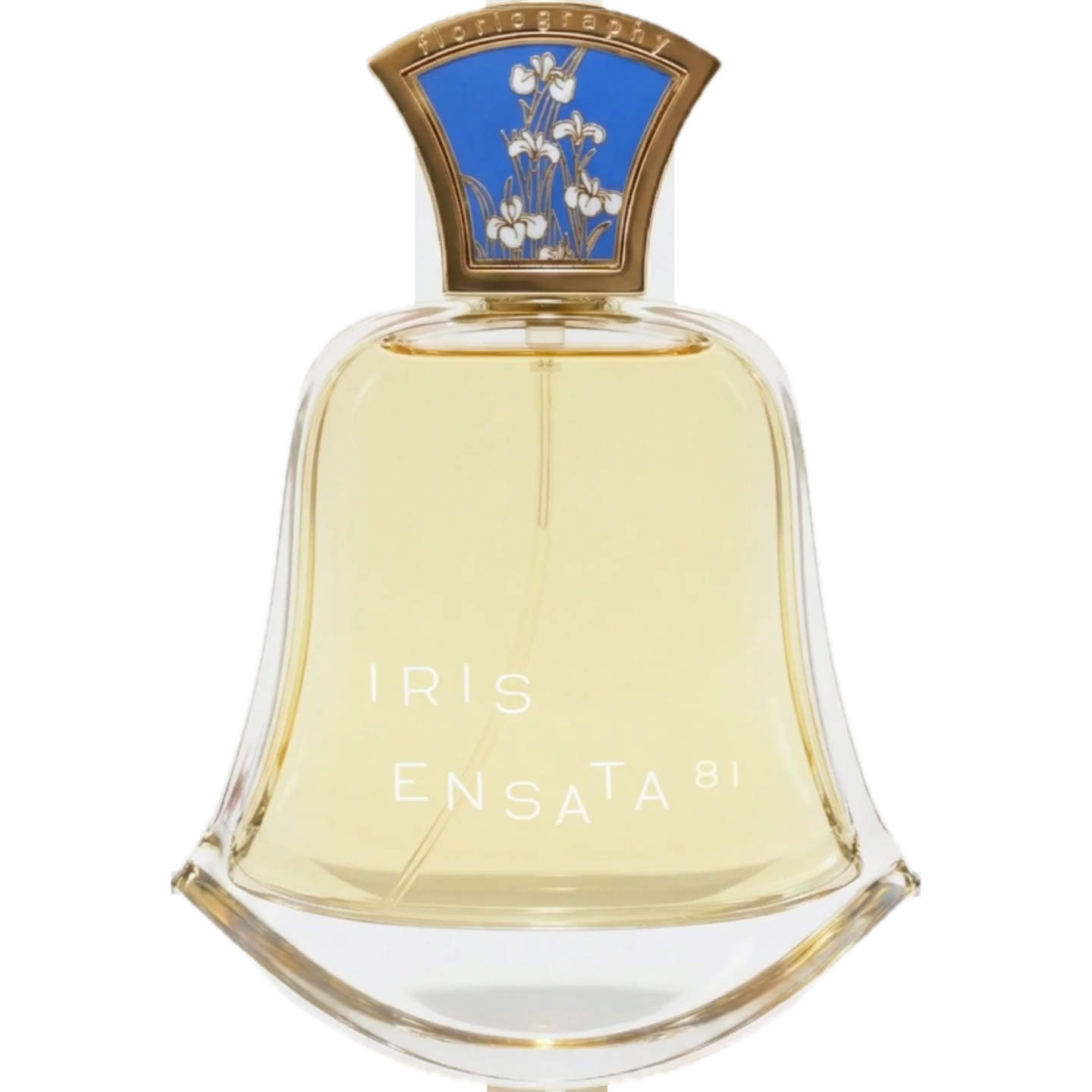 No. 18 Iris Ensata by Floriography