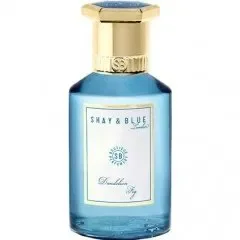 Dandelion Fig by Shay Blue London