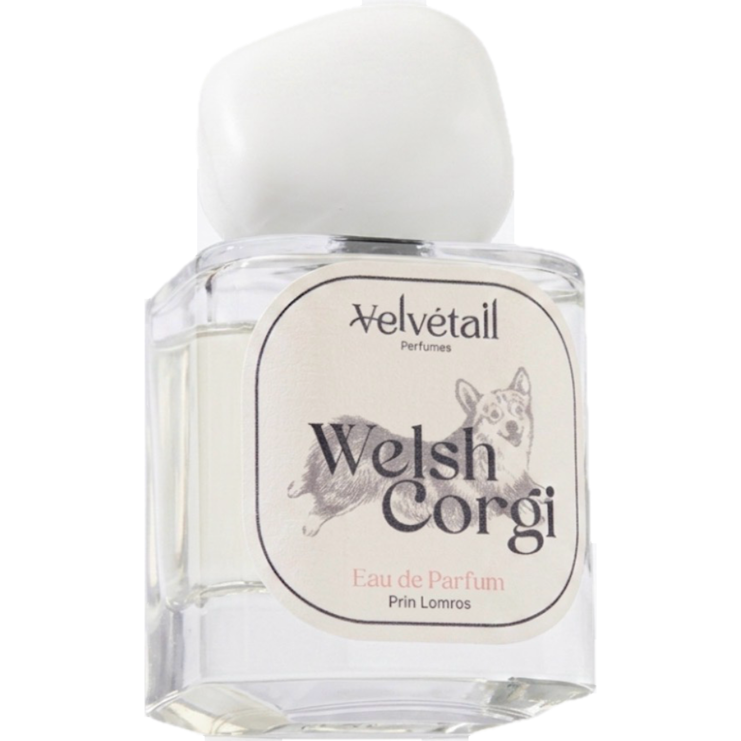 Welsh Corgi by Velvétail Perfumes