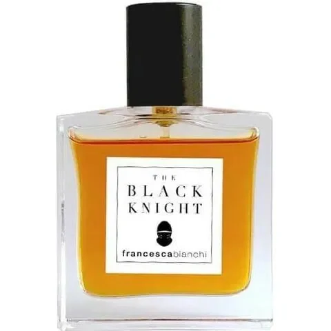 The Black Knight by Francesca Bianchi
