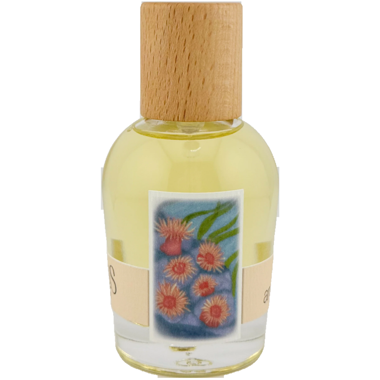 Sea Anemone by Cirrus Parfum