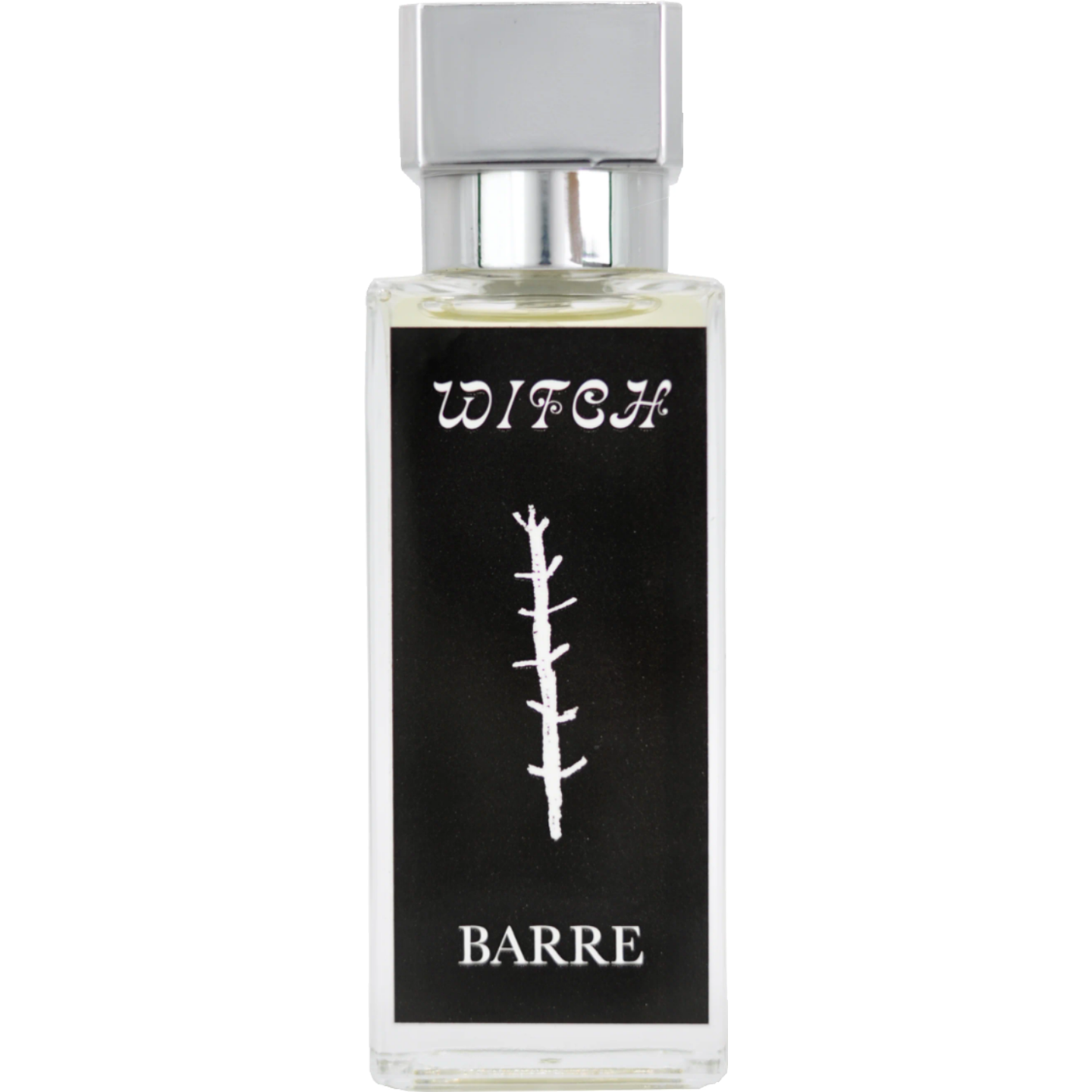 Witch by Barre