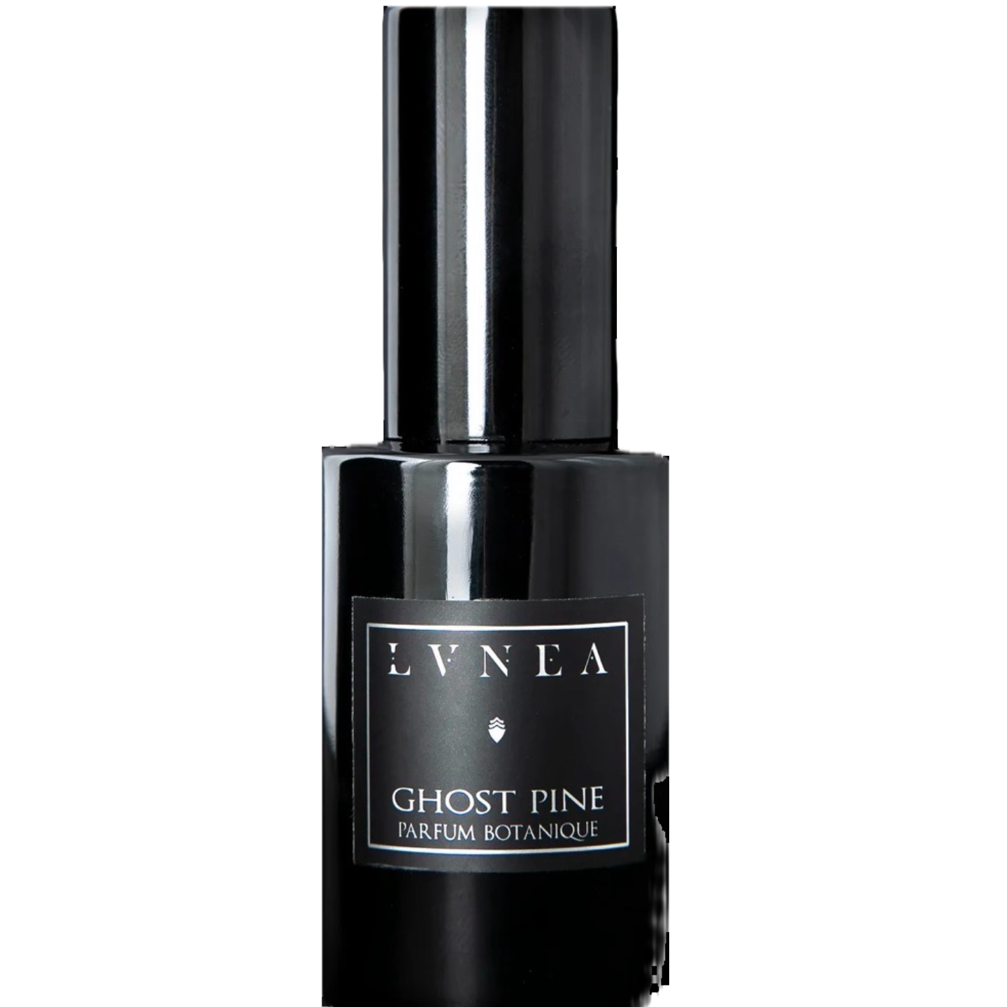 Ghost Pine by LVNEA