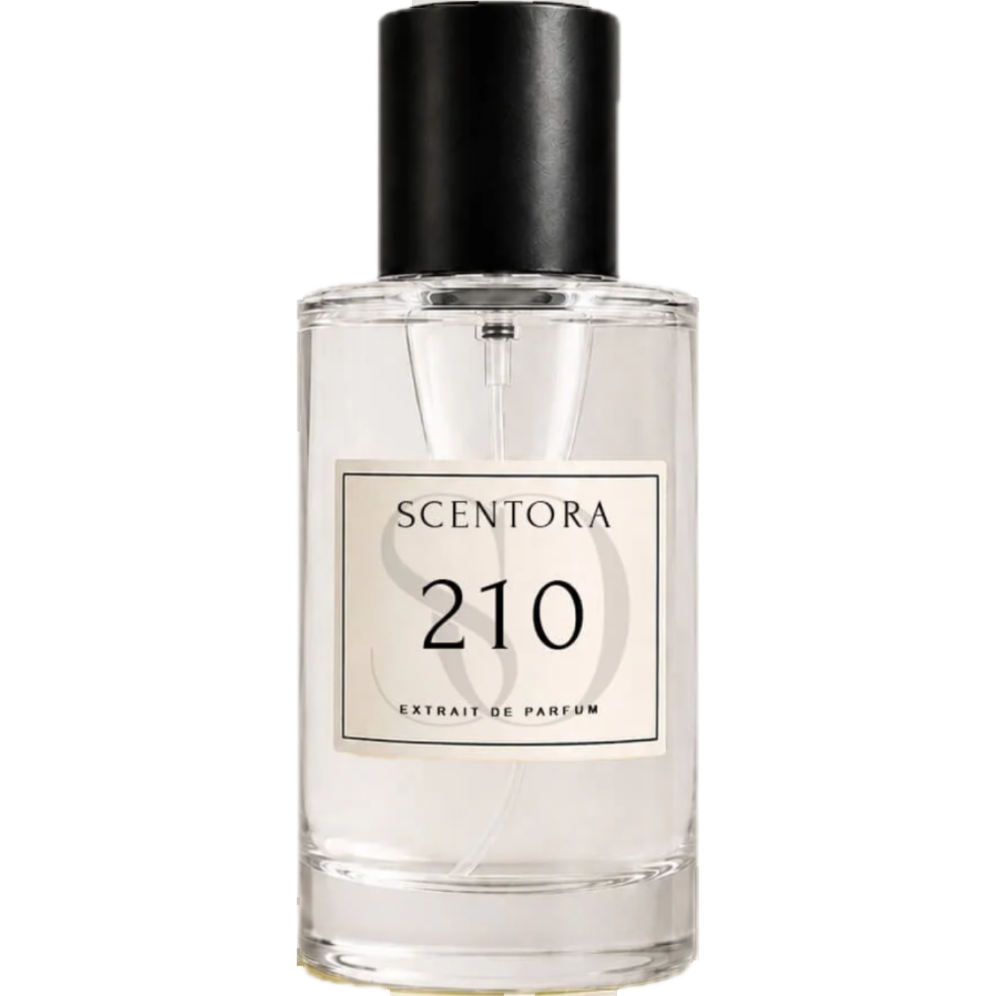 210 by Scentora