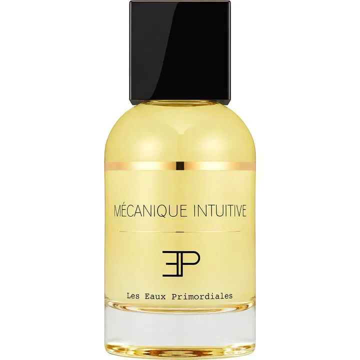 Mécanique Intuitive by Les Eaux Primordiales