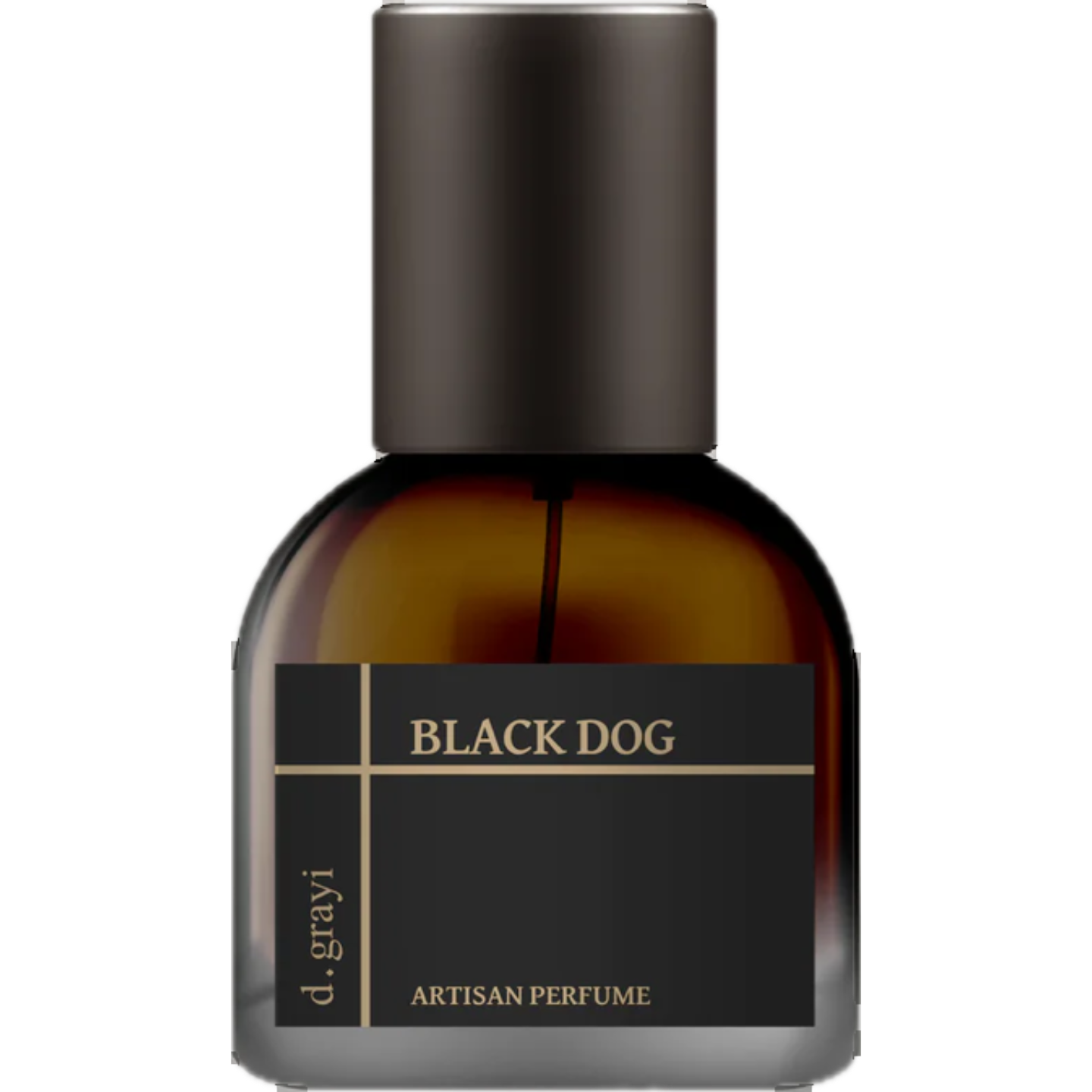 Black Dog by d.grayi