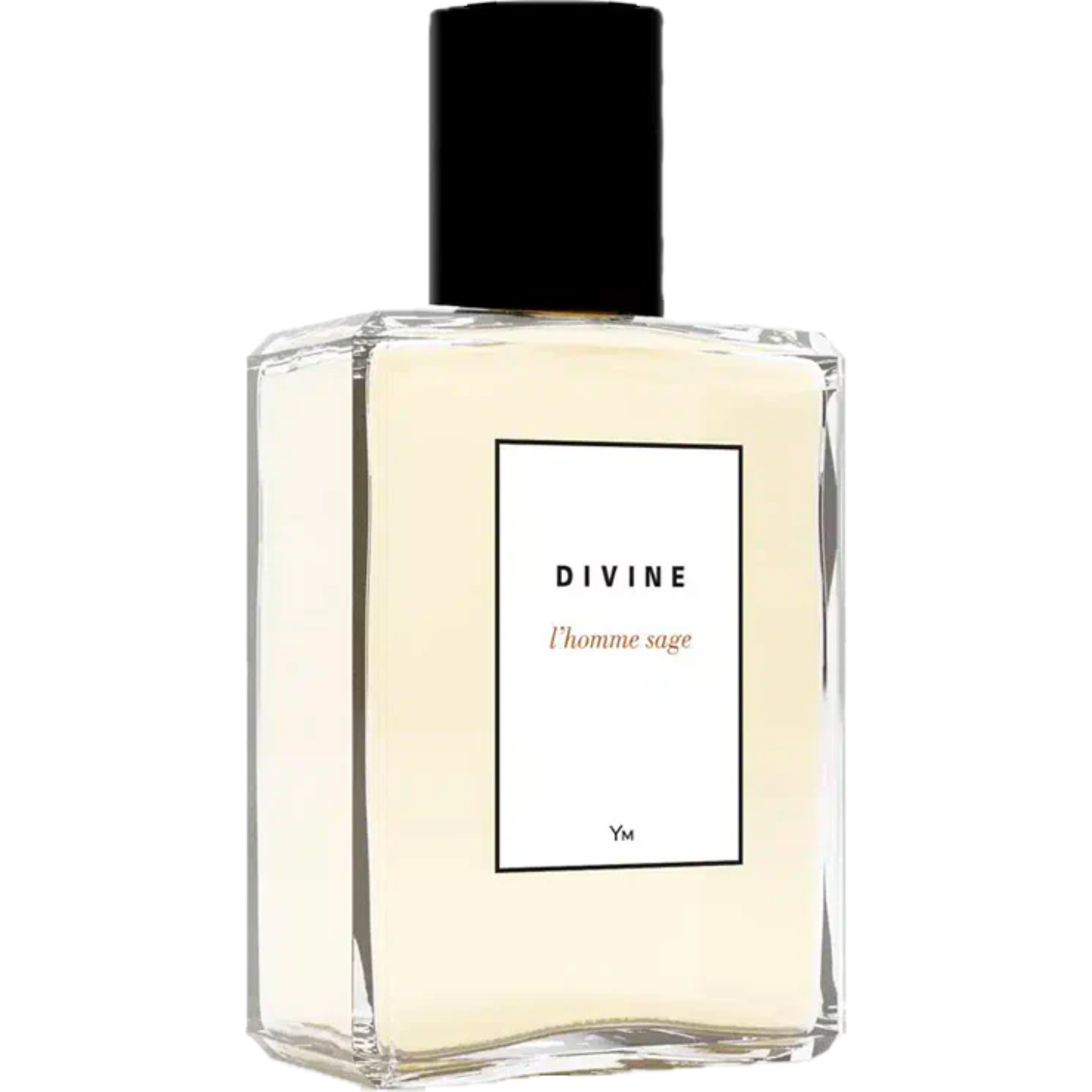 L'homme sage by Divine