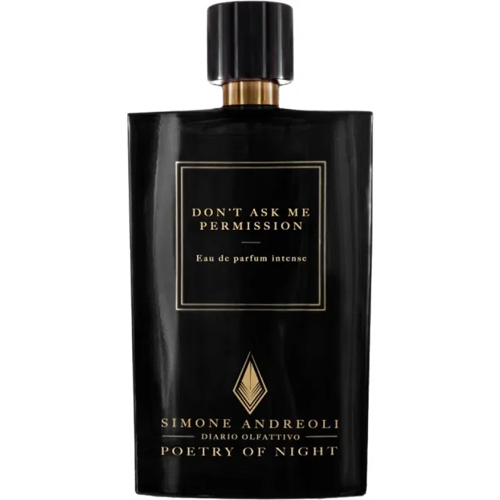Don't Ask Me Permission by Simone Andreoli