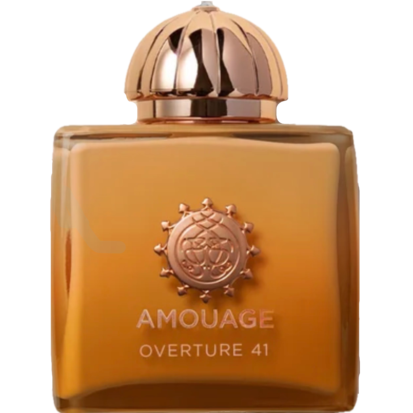 Overture Woman 41 by Amouage