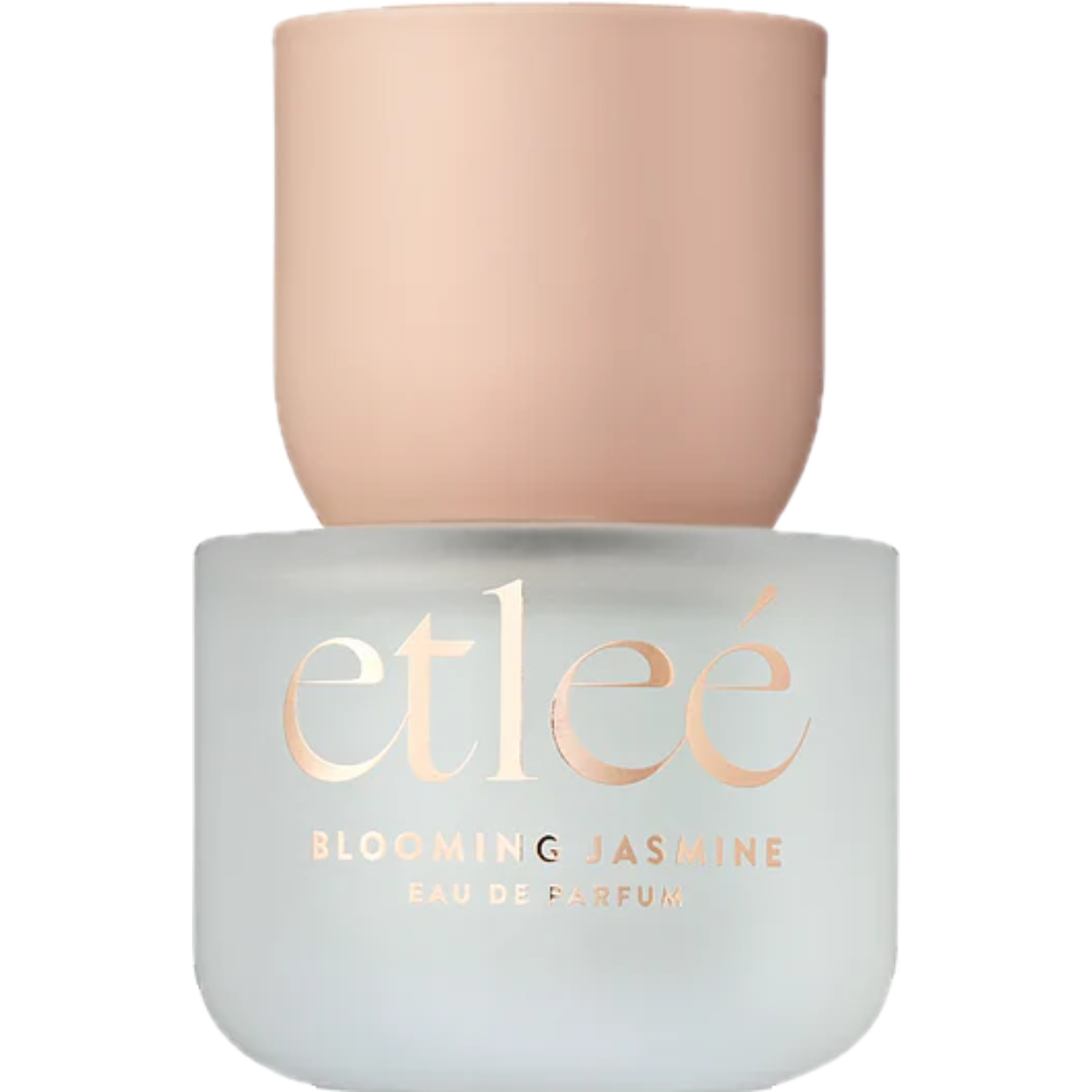 Blooming Jasmine by Etleé