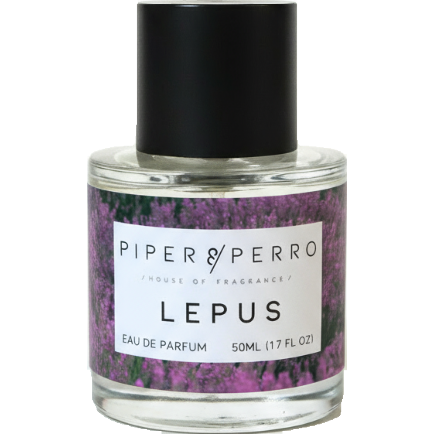 Lepus by Piper and Perro