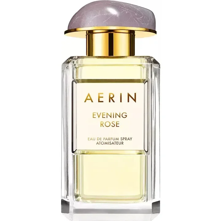 Evening Rose by Aerin
