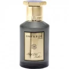 Blacks Club Leather by Shay Blue London
